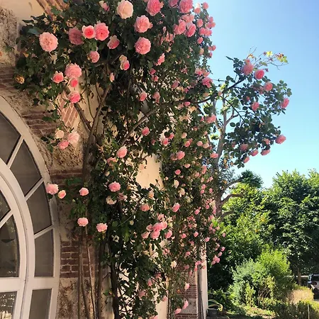 Hotel Chateau De La Cour *